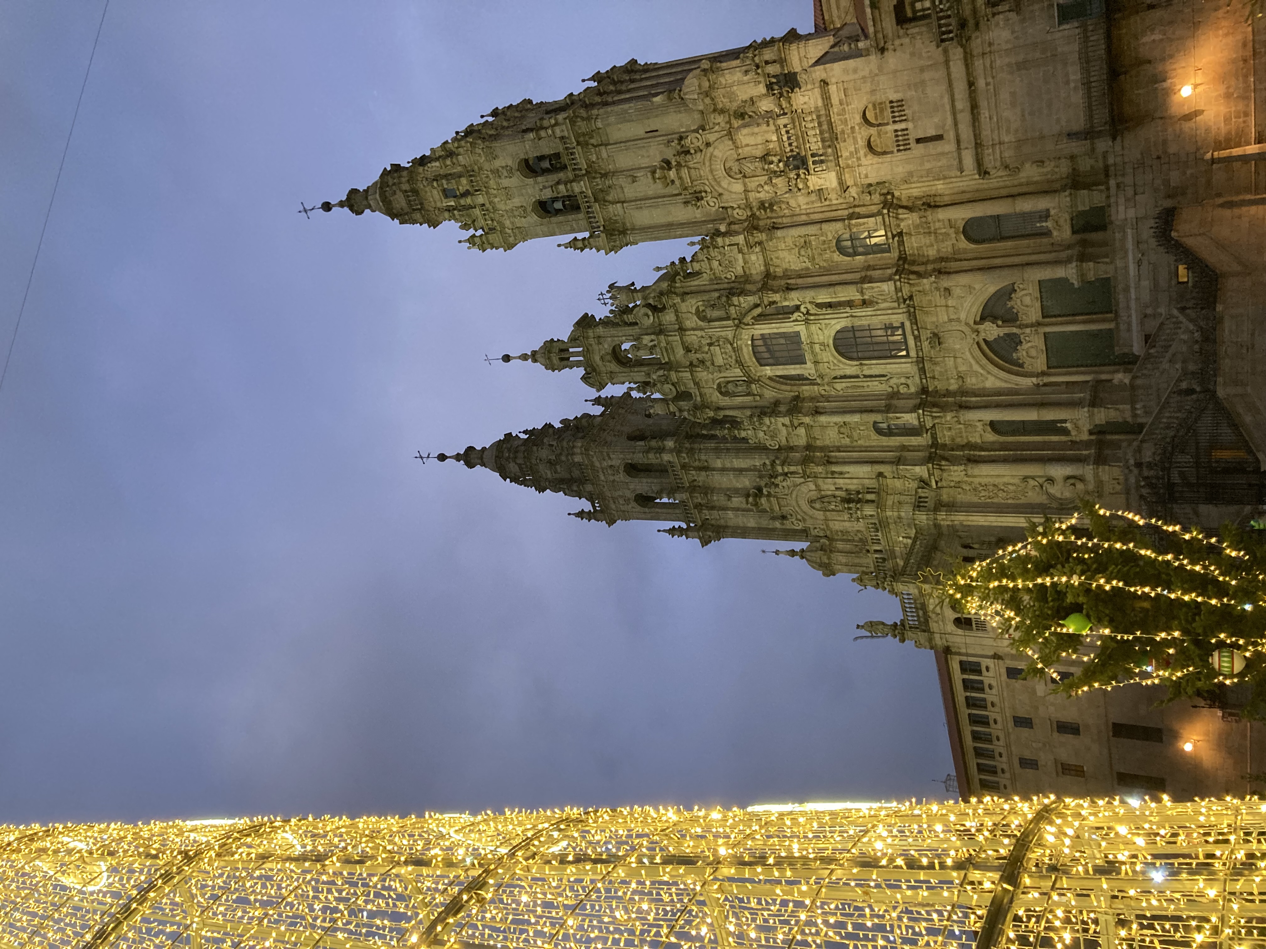 cathedral next to Christmas lights