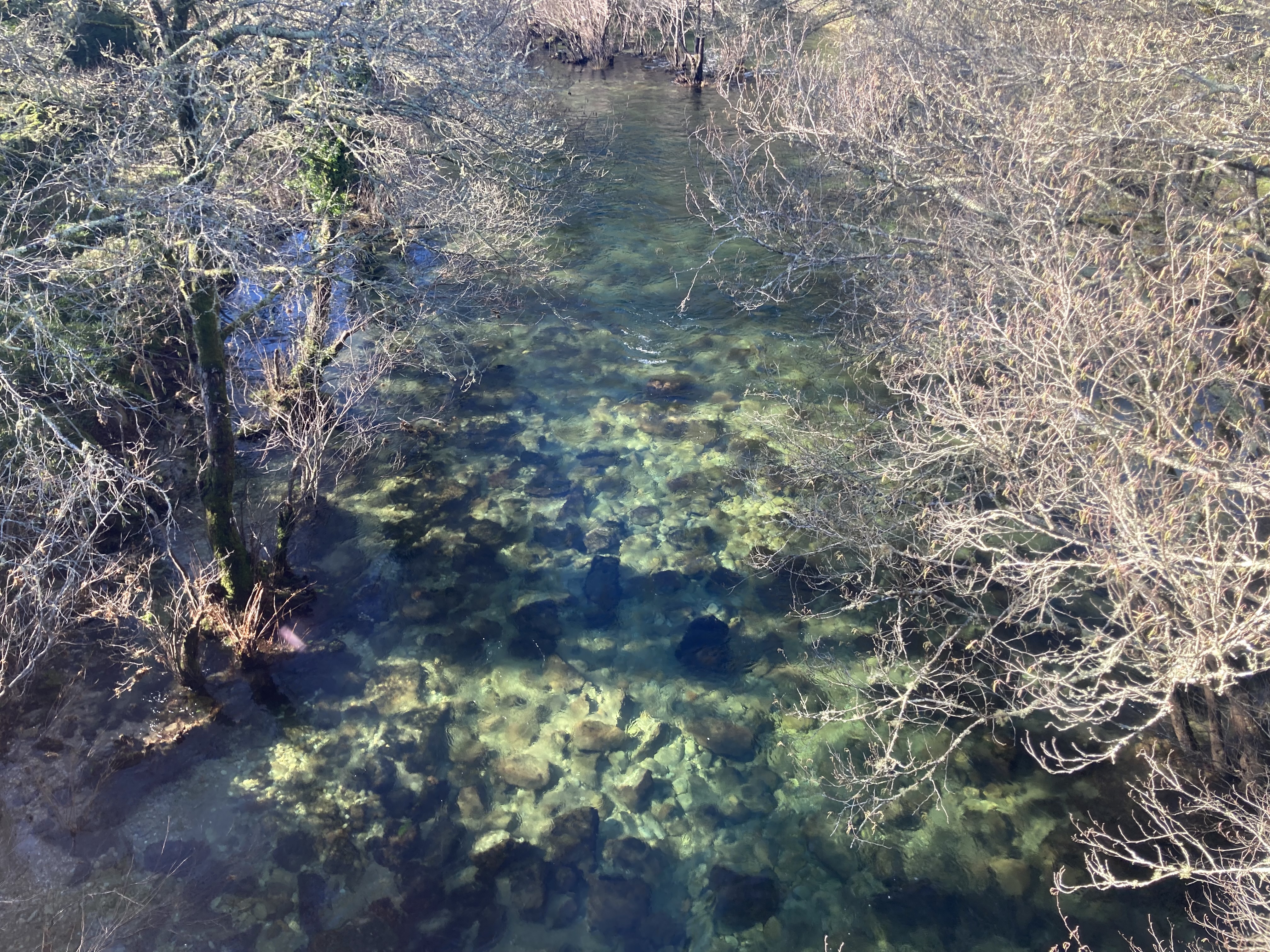 oitaven river in the sunlight from above