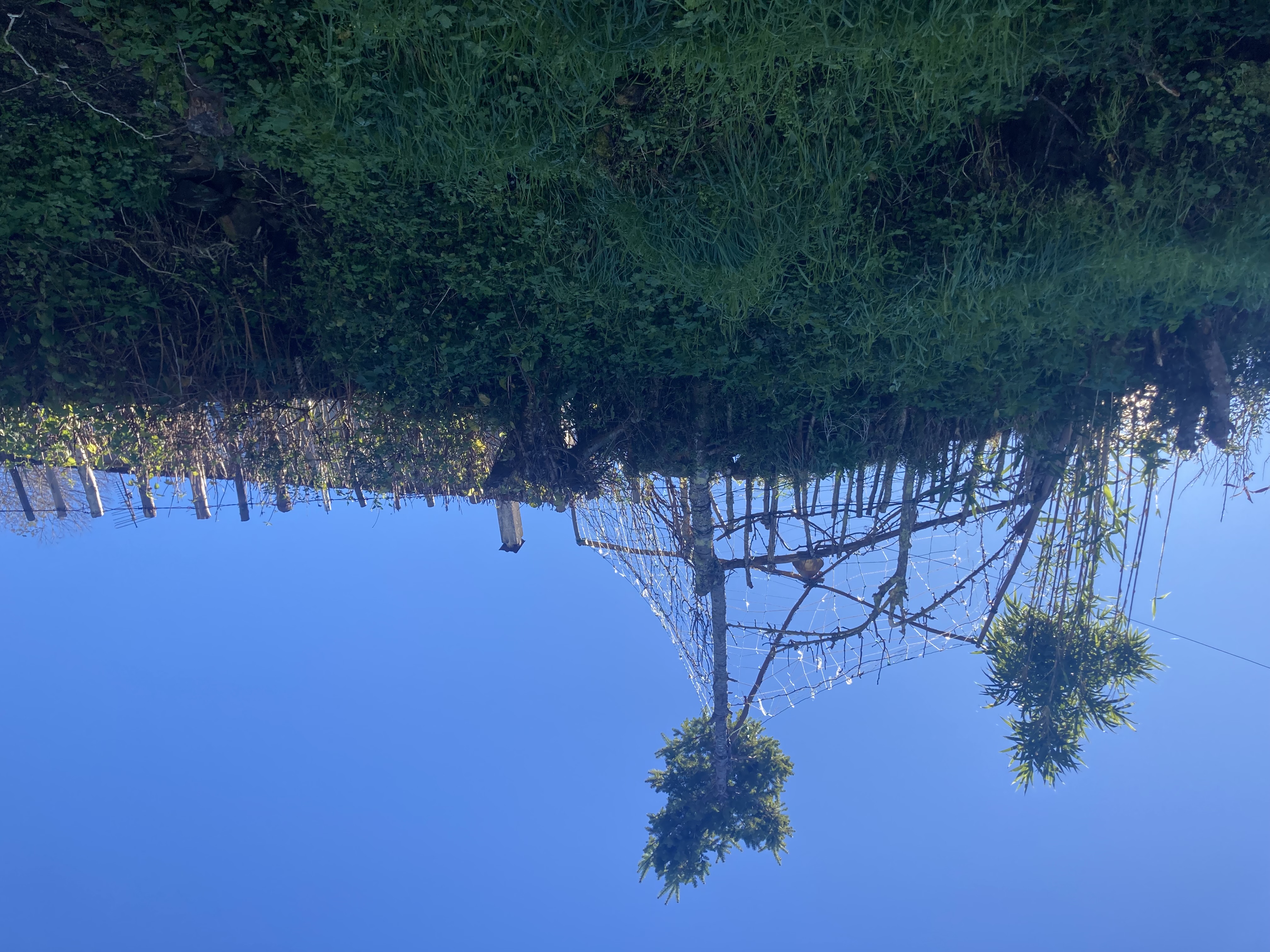 a selfmade fence