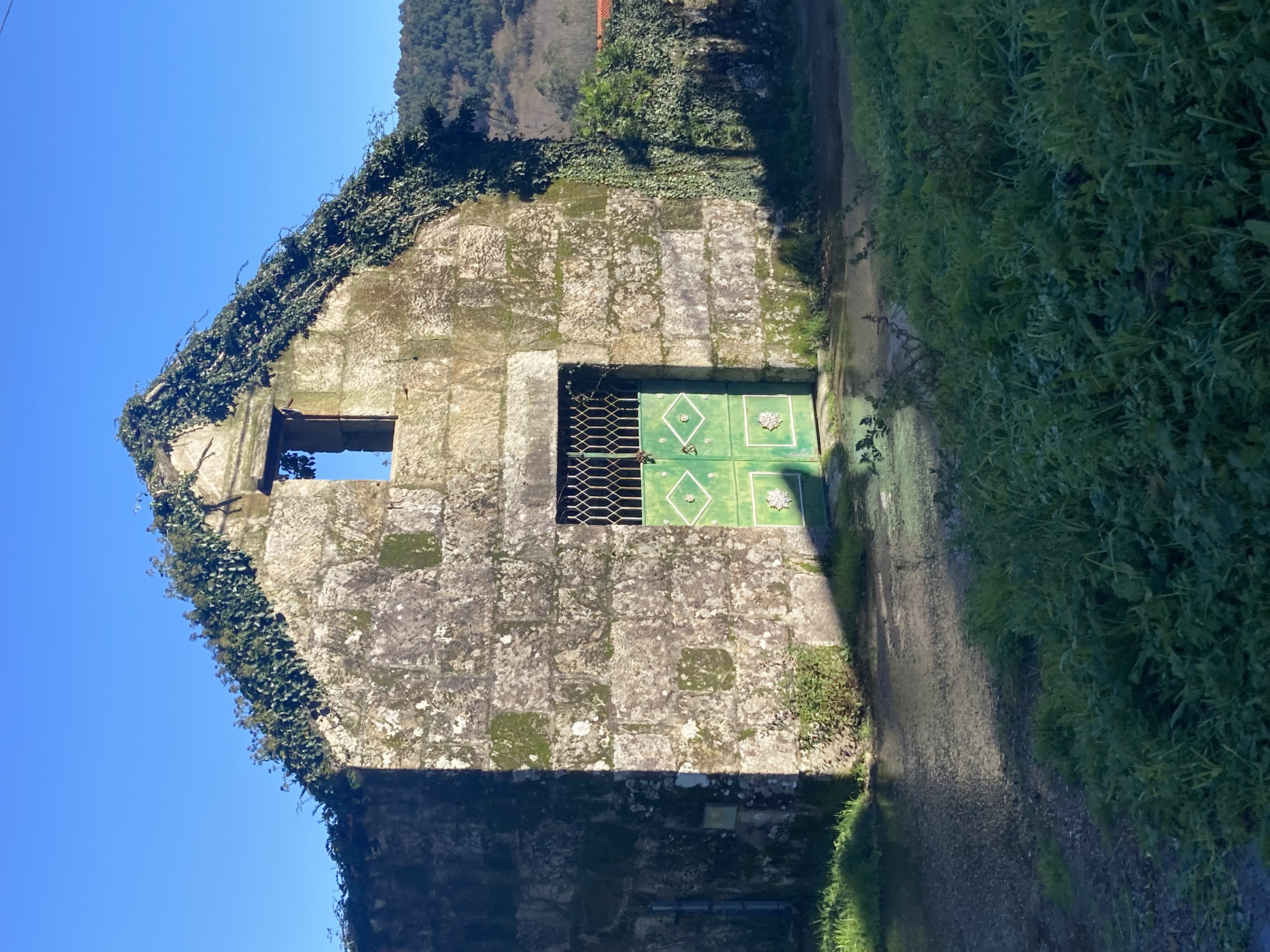 overgrown ruin of a house