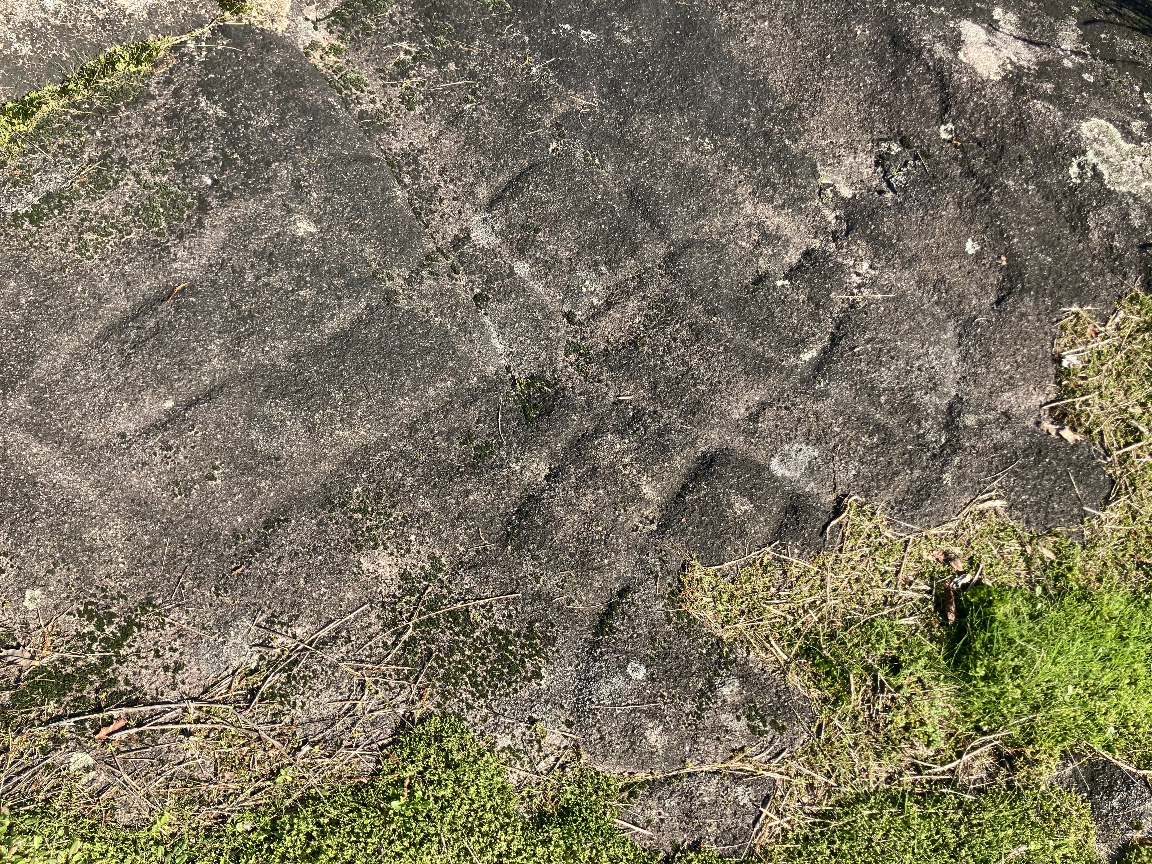 pedroglyphs of crossing lines