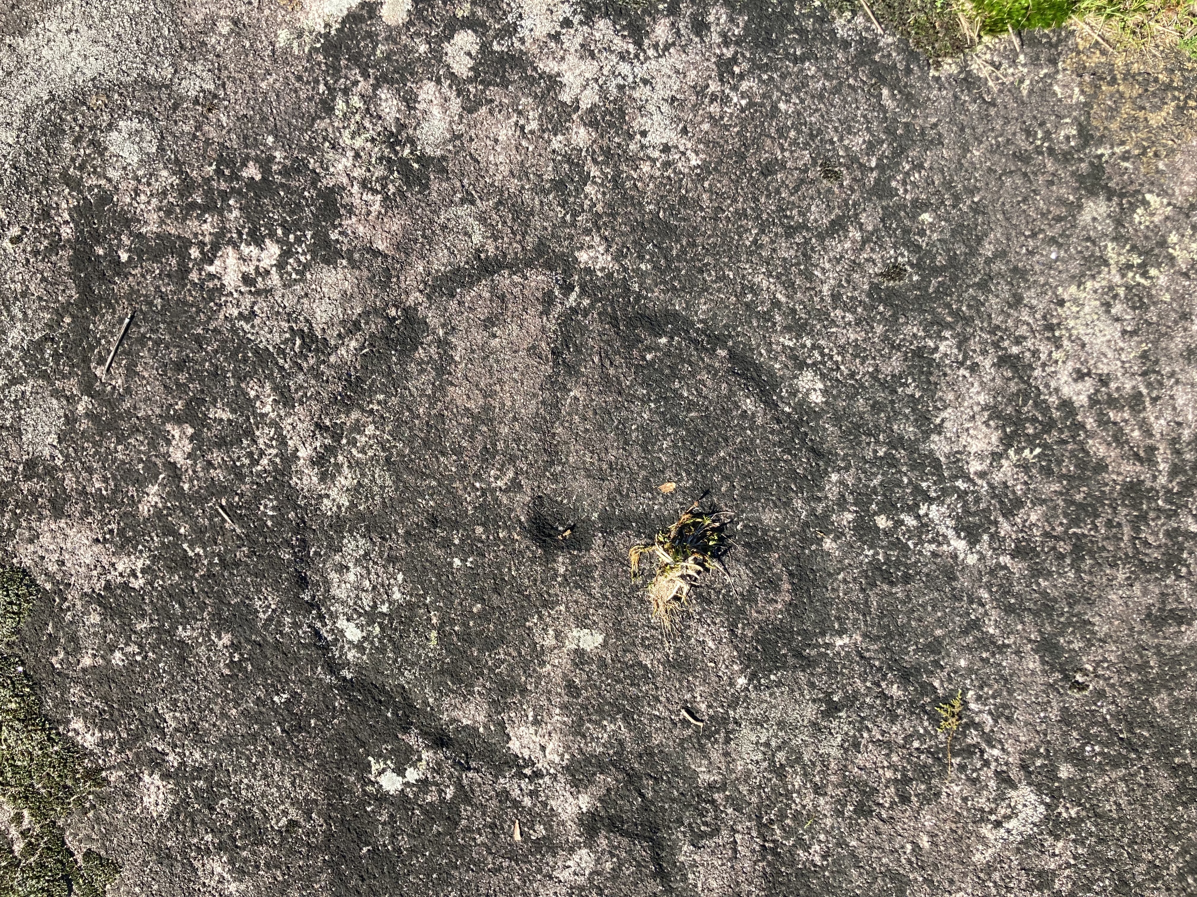 pedroglyph of a small wheel