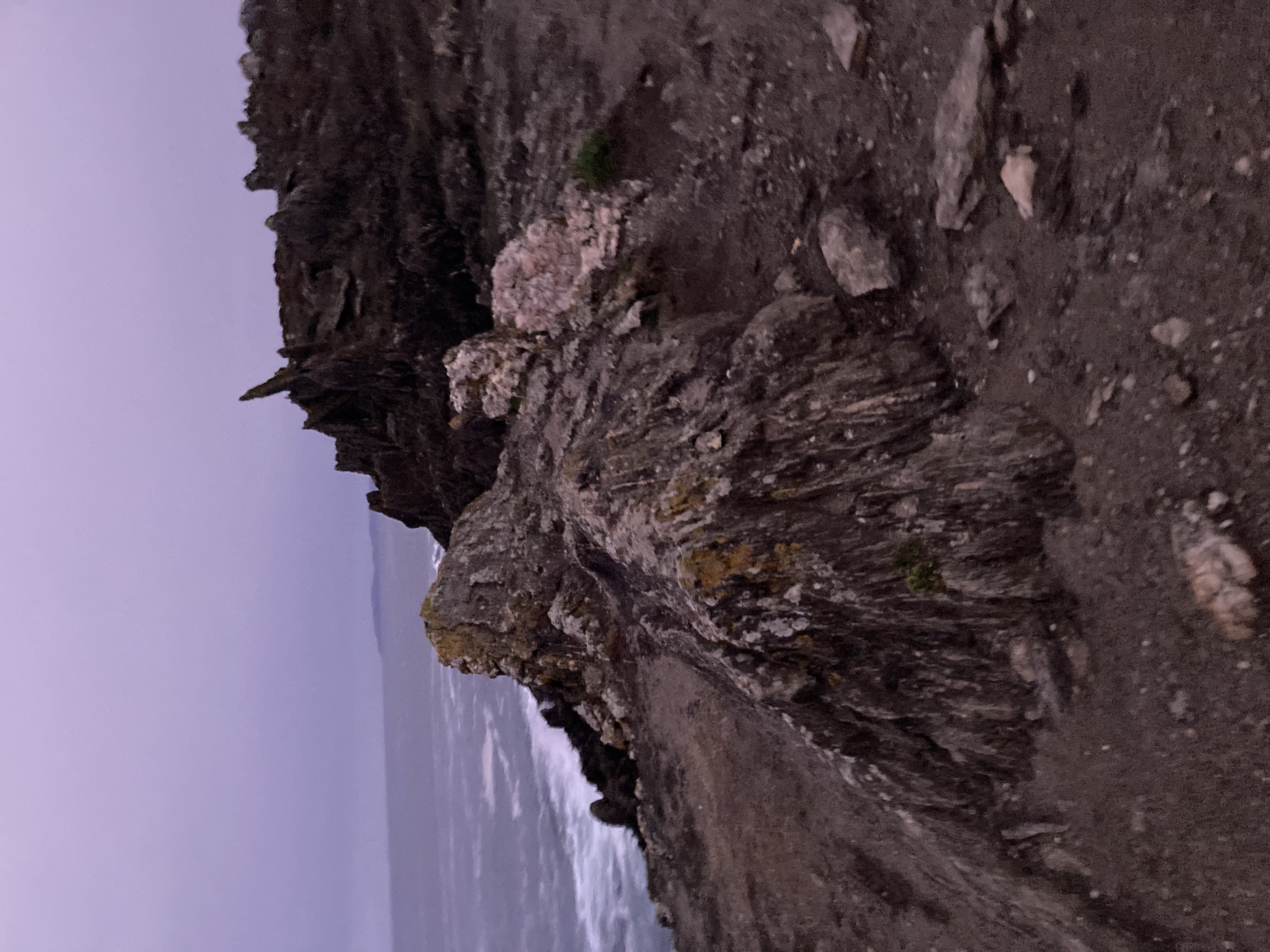 spikey rocks in front of ocean