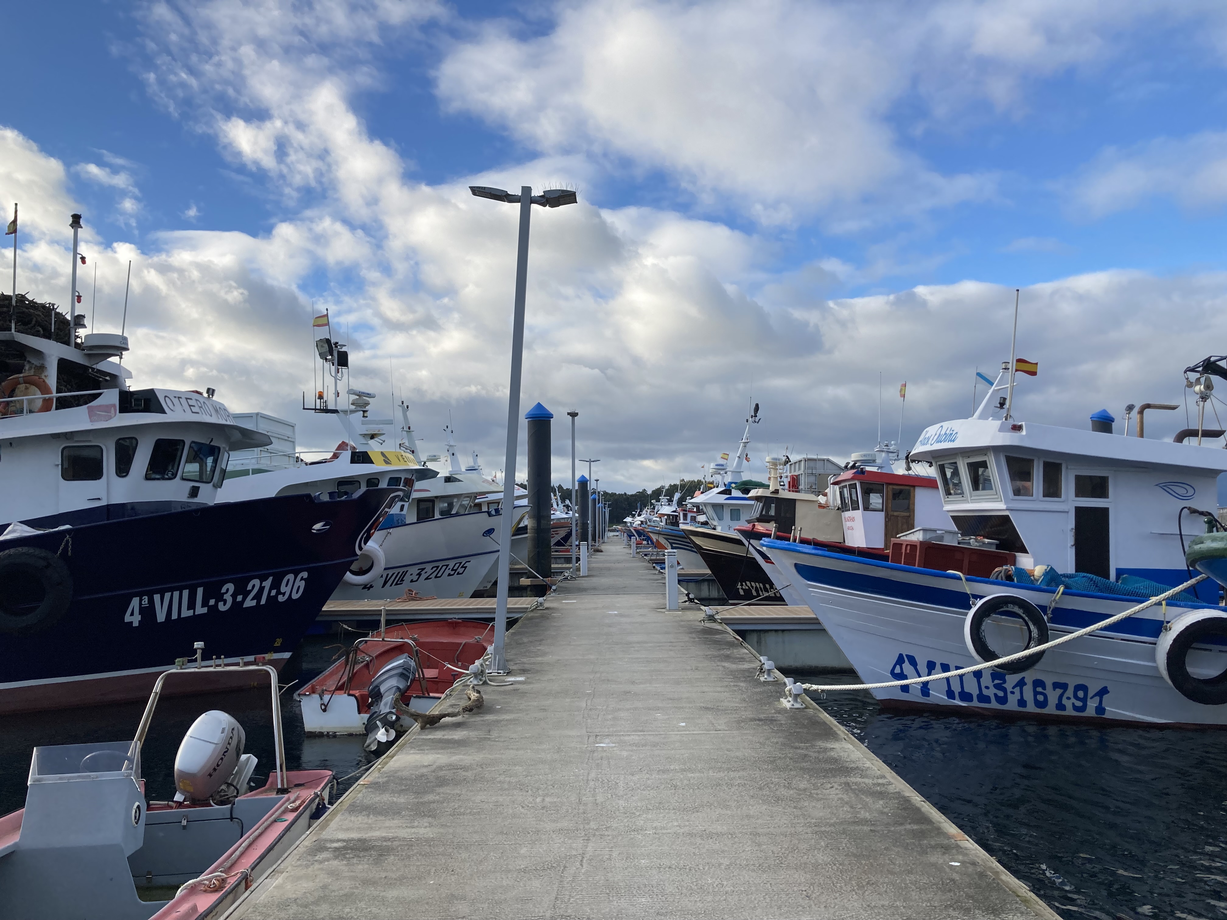 fishing boats in harbour