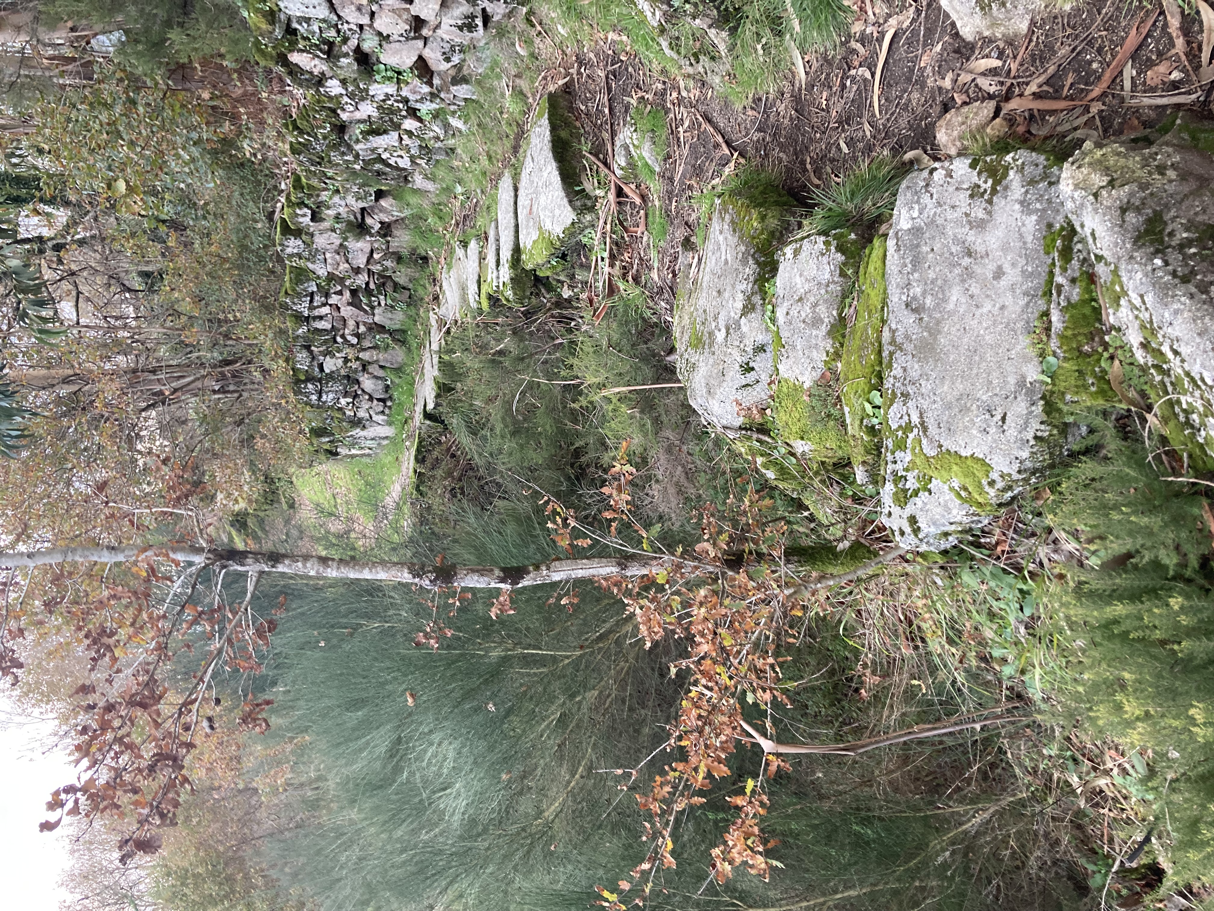 stoney way steep hill