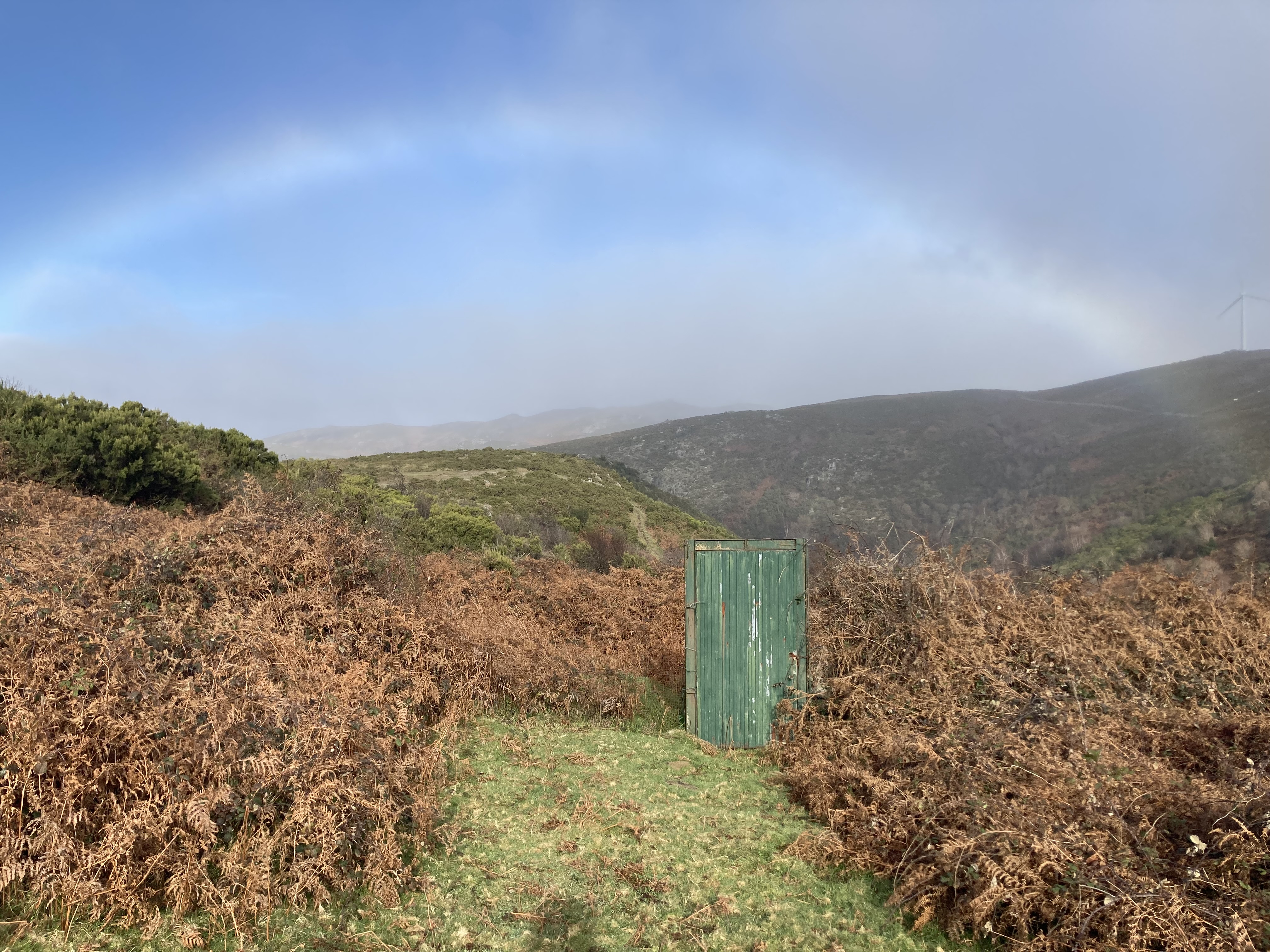 a green door between brown leaves, a rainbow overhead