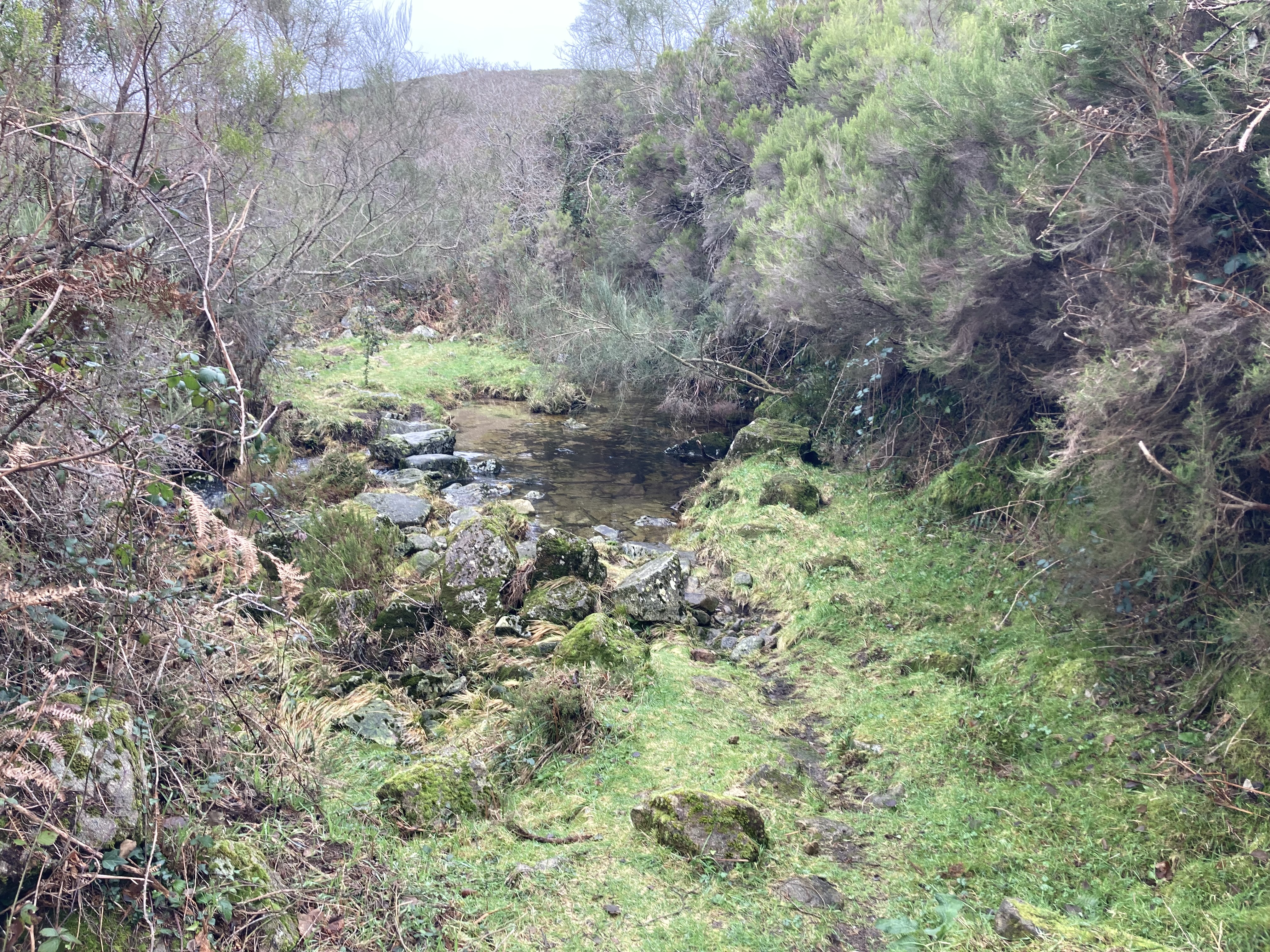 stones crossing travelling water